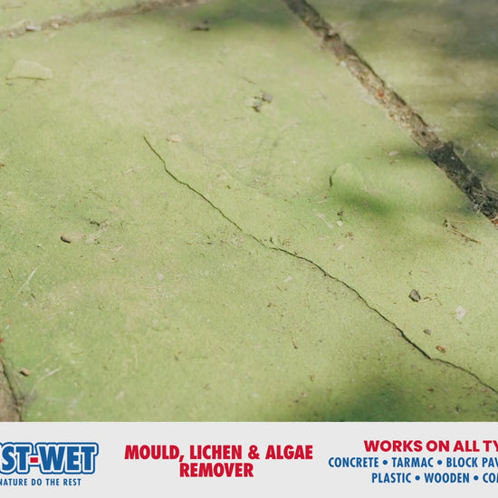 Genie Just-Wet Mould, Lichen & Algae Remover