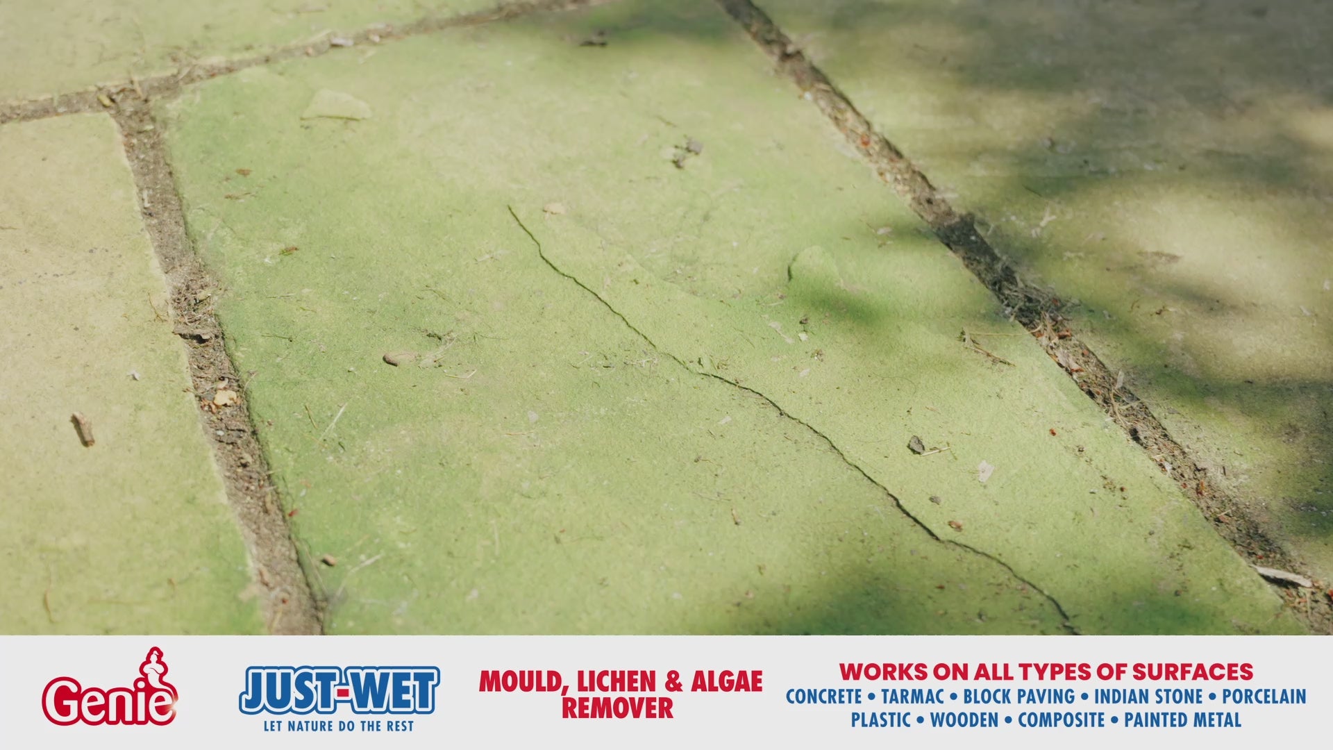 Genie Just-Wet Mould, Lichen & Algae Remover